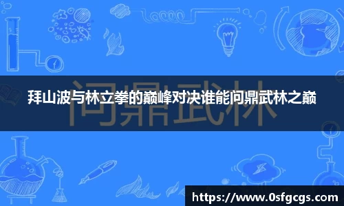 拜山波与林立拳的巅峰对决谁能问鼎武林之巅